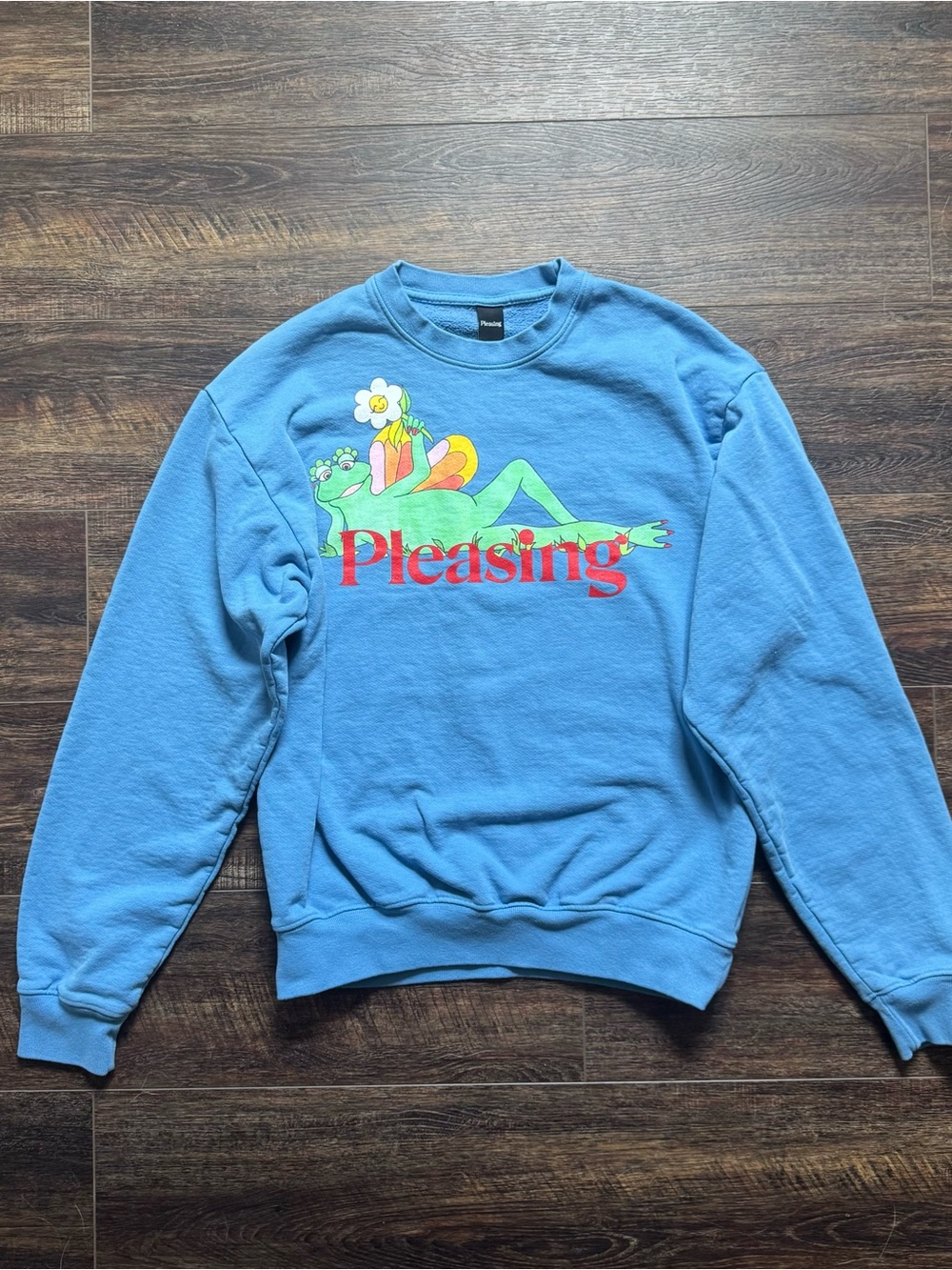 Pleasing Blue Frog Harry‎ Styles Pullover Sweatshirt Size Large